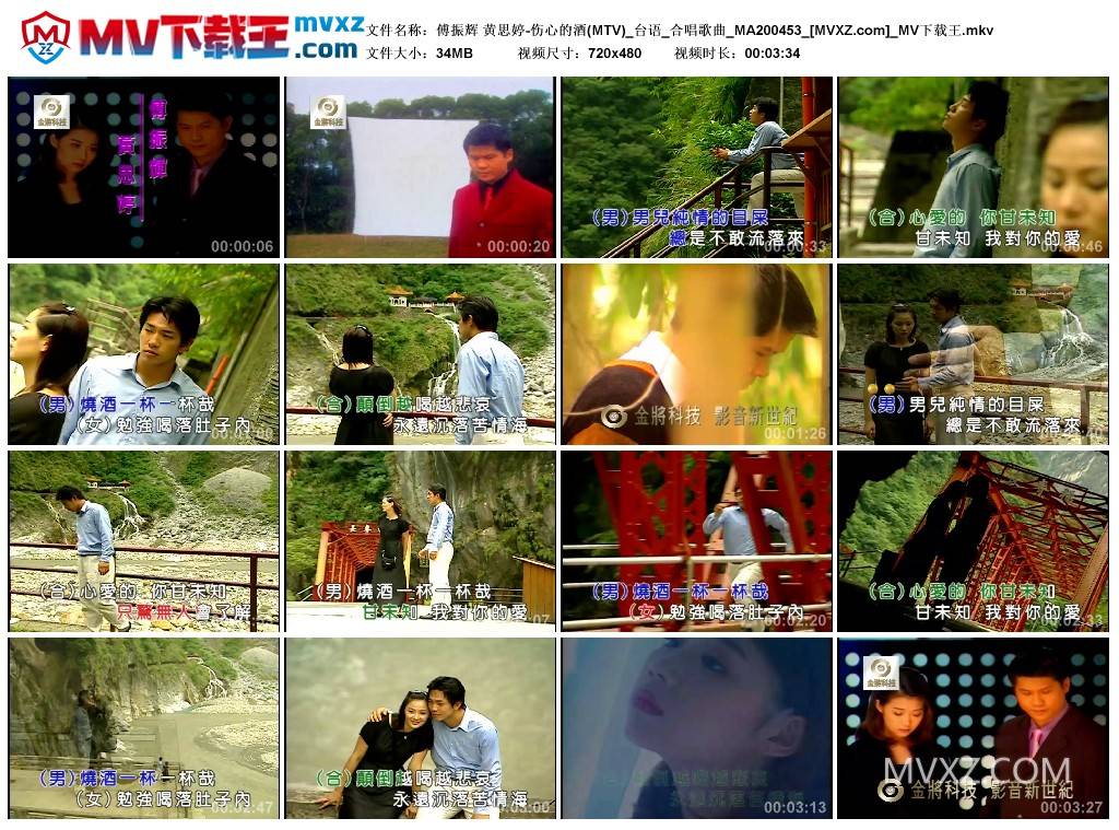 傅振辉 黄思婷-伤心的酒(MTV)_台语_合唱歌曲_MA200453